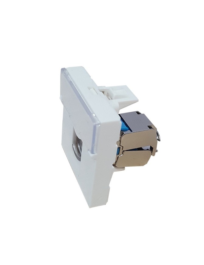 Prise RJ45 cat 6, avec plastron 45 X 45 mm