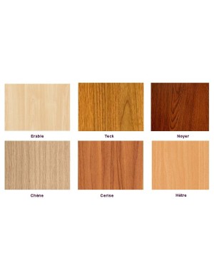 Baie serveur insonorisée Silence Style 17U