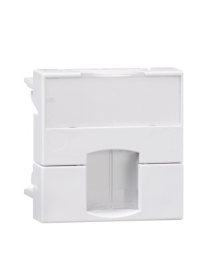 Schneider plastron RJ 45x45 VD19910F