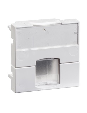 Schneider plastron RJ 45x45 VD19910F